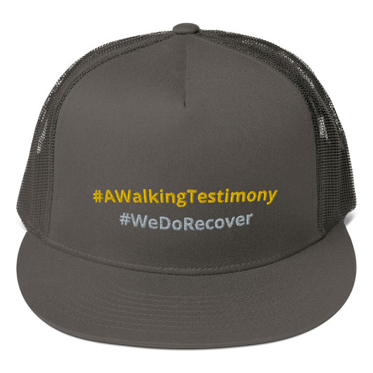 #AWalkingTestimony #WeDoRecover Snapback